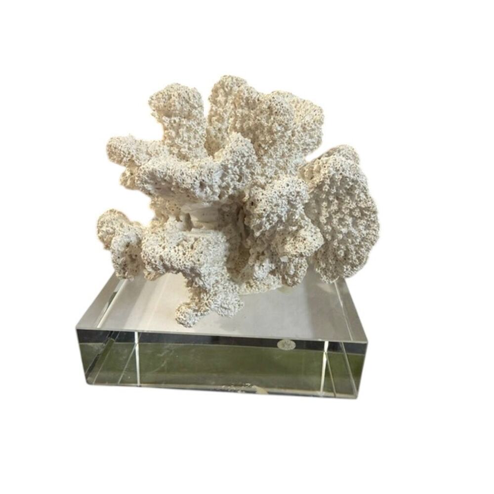 Faux Coral Reef Sculpture Coastal Beach Decor On Glass Base White - Picture 3 of 4
